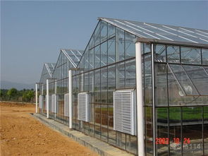 農業溫室 現代農業的高效種植解決方案